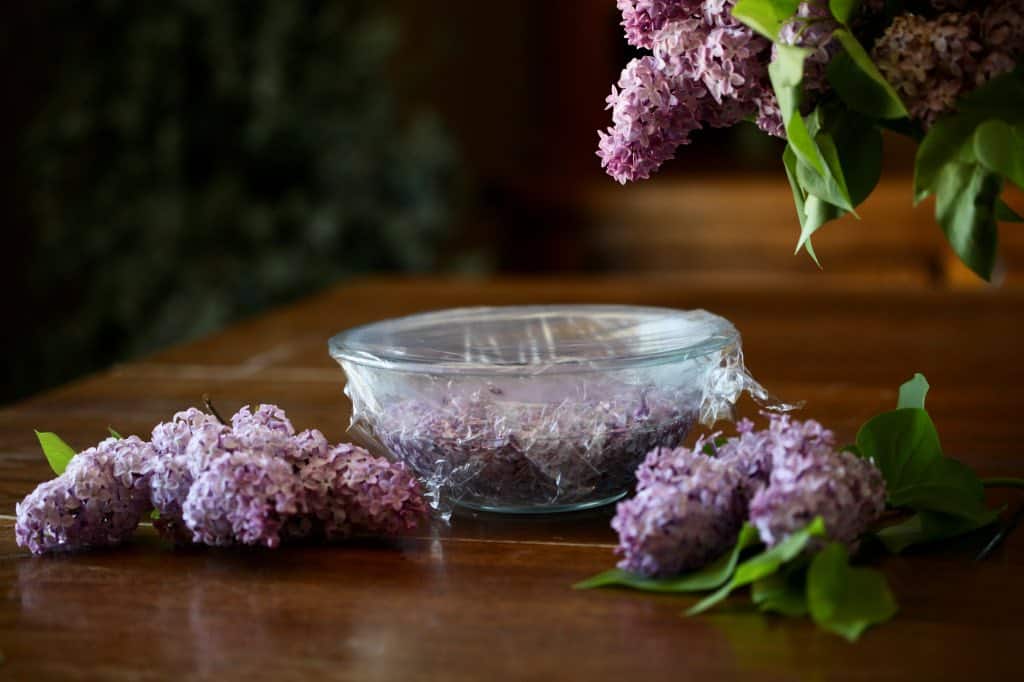a covered bowl with lilac simple syrup