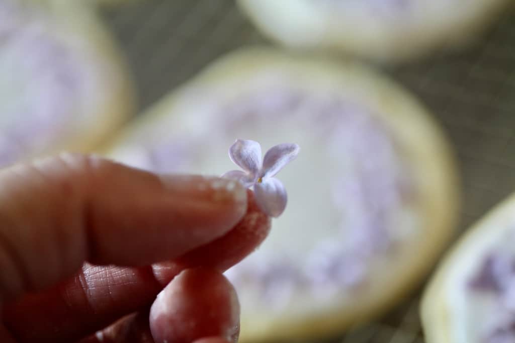 a hand holding a lilac blossom in front of cookies decorated with edible flowers