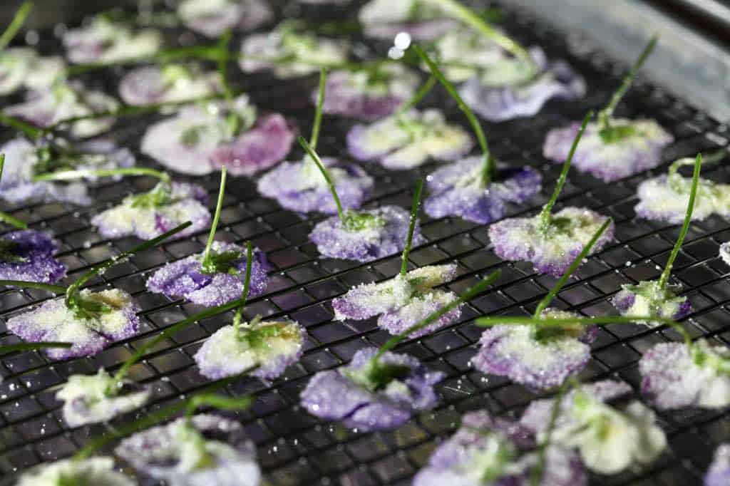 edible candied flowers drying on a metal rack