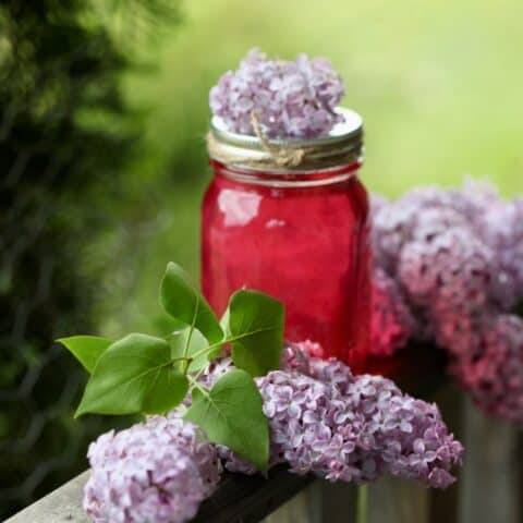 lilac simple syrup in a mason jar next to lilac flowers