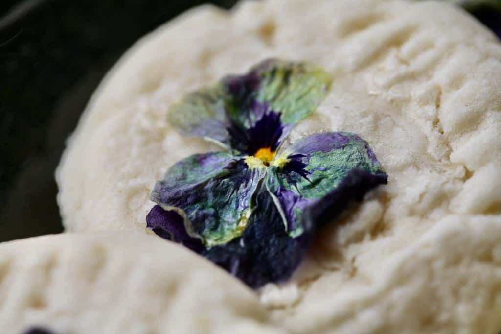 a pansy baked on a shortbread cookie showing how beautiful the color is after baking