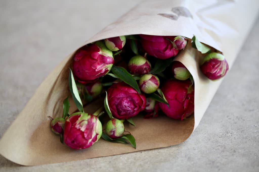 peonies wrapped in Kraft paper to dry store, as part of cut peony care