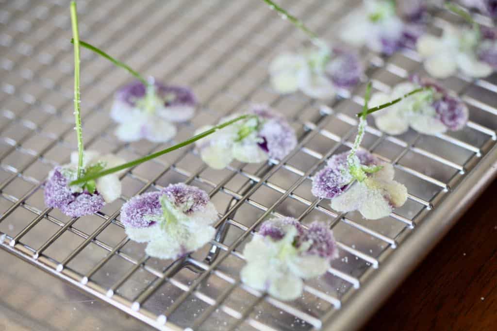 edible candied flowers face down on a wire rack