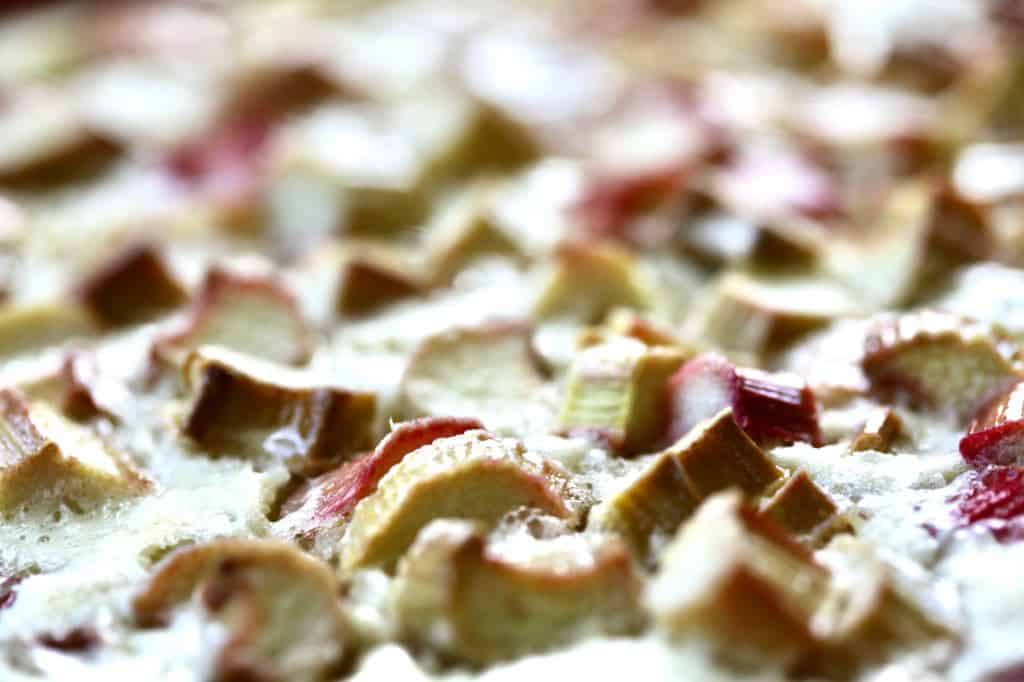 closeup of rhubarb custard pie