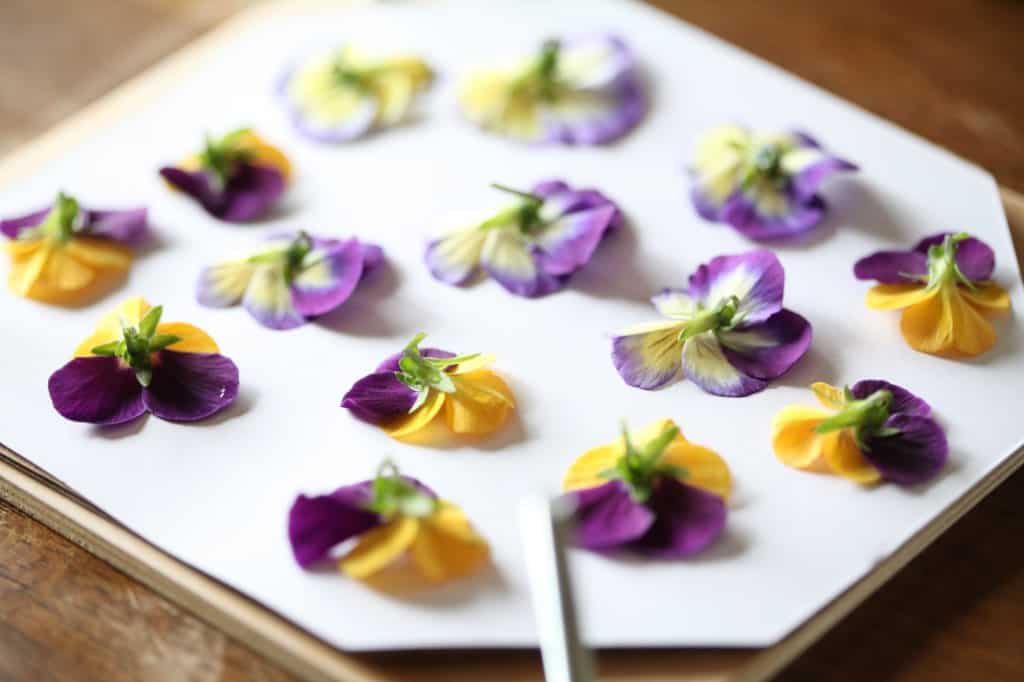 a wooden flower press with orange and purple pansies set out for pressing