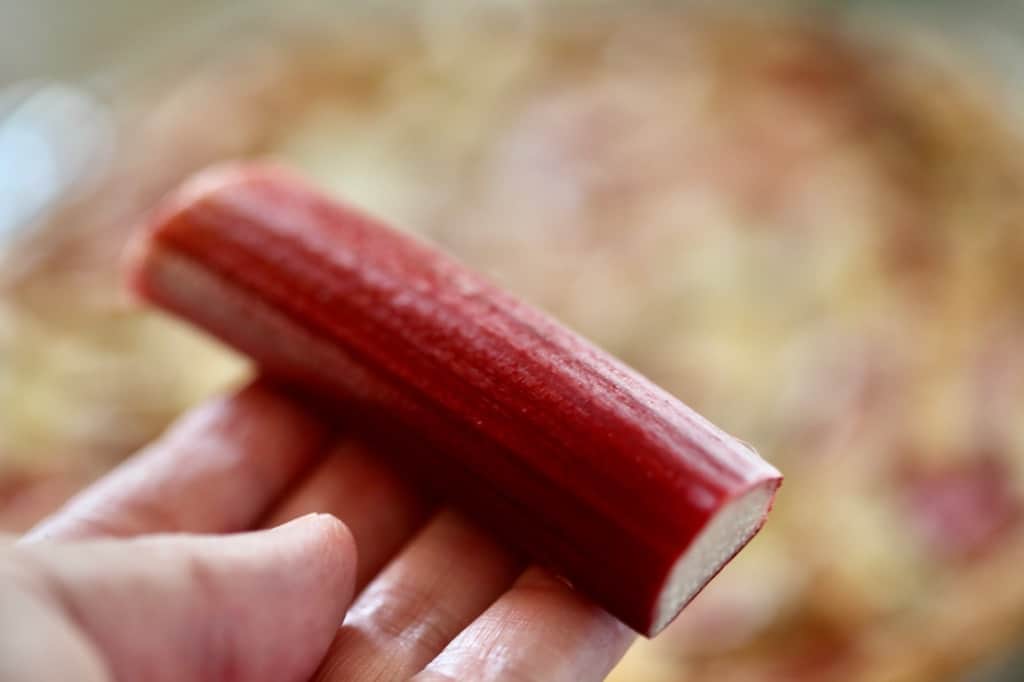 a hand holding a piece of red rhubarb