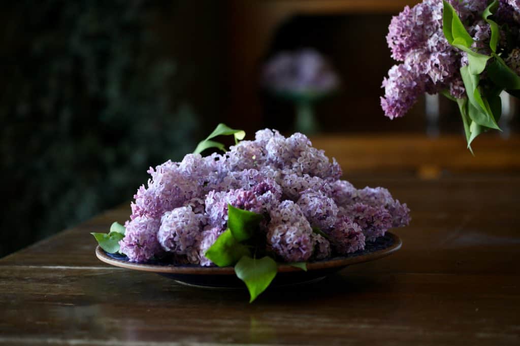 a platter of ripe lilac blossoms on a wooden table