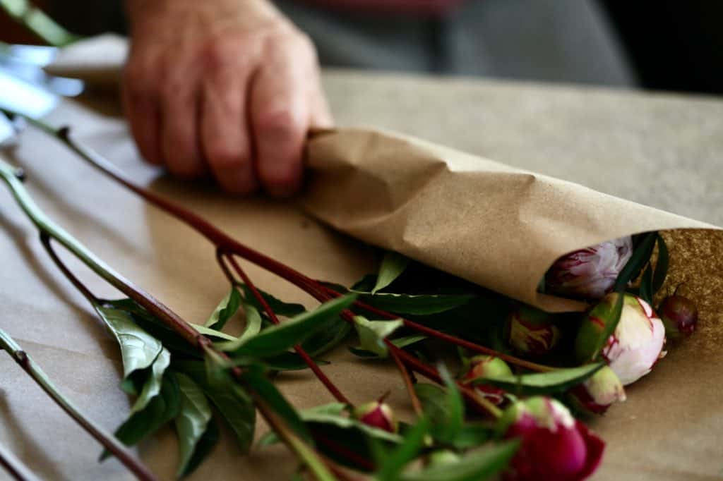 wrapping peonies in Kraft paper to dry store, as part of cut peony care