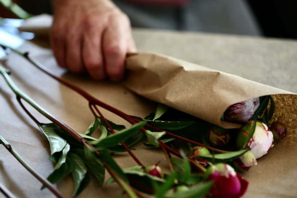 Cut Peony Care- How To Keep Cut Peonies Fresh For Longer - Farmhouse ...