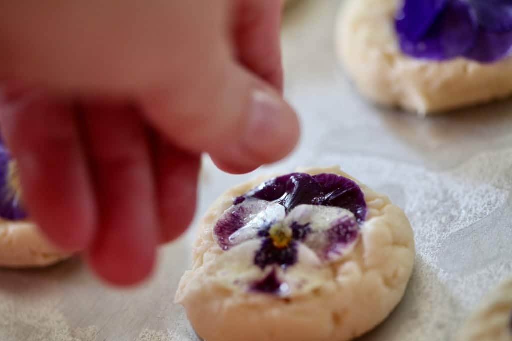 a hand sprinkling an edible flower on a cookie with sugar