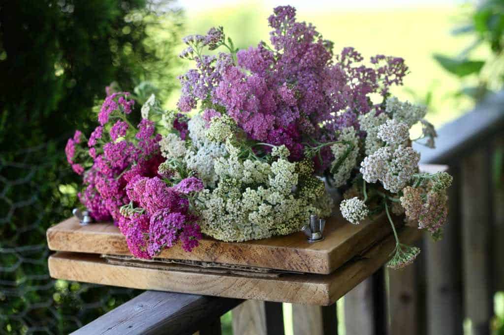 a diy wooden flower press with different coloured flowers