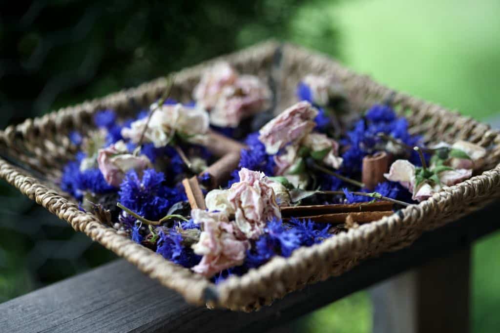 dried bachelor buttons added to a basket of potpourri with other dried flowers