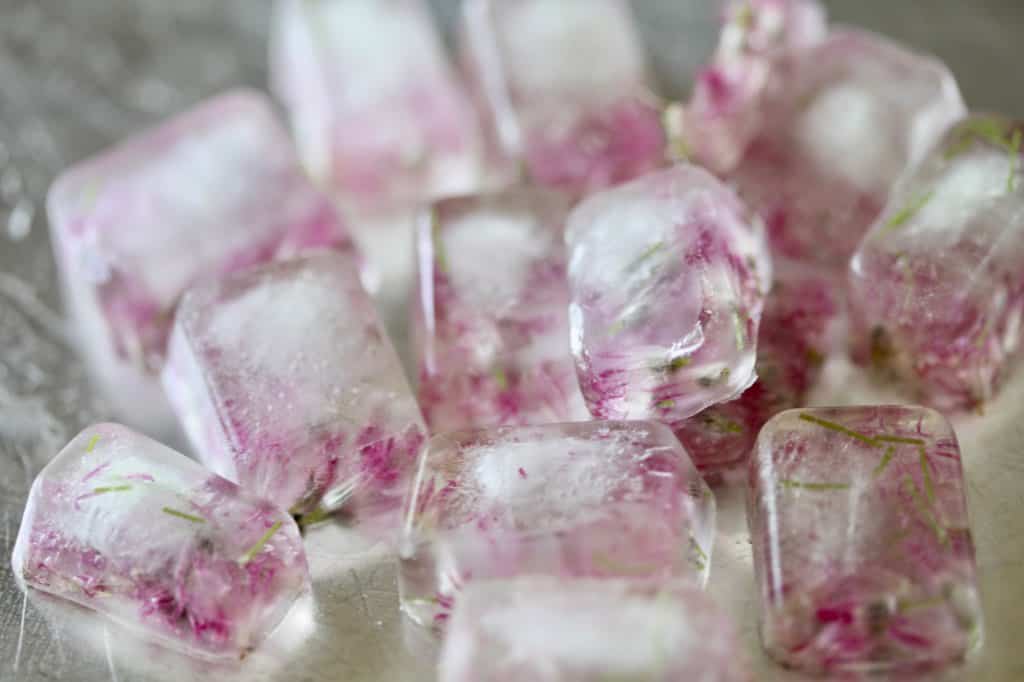 chive blossoms in ice cubes