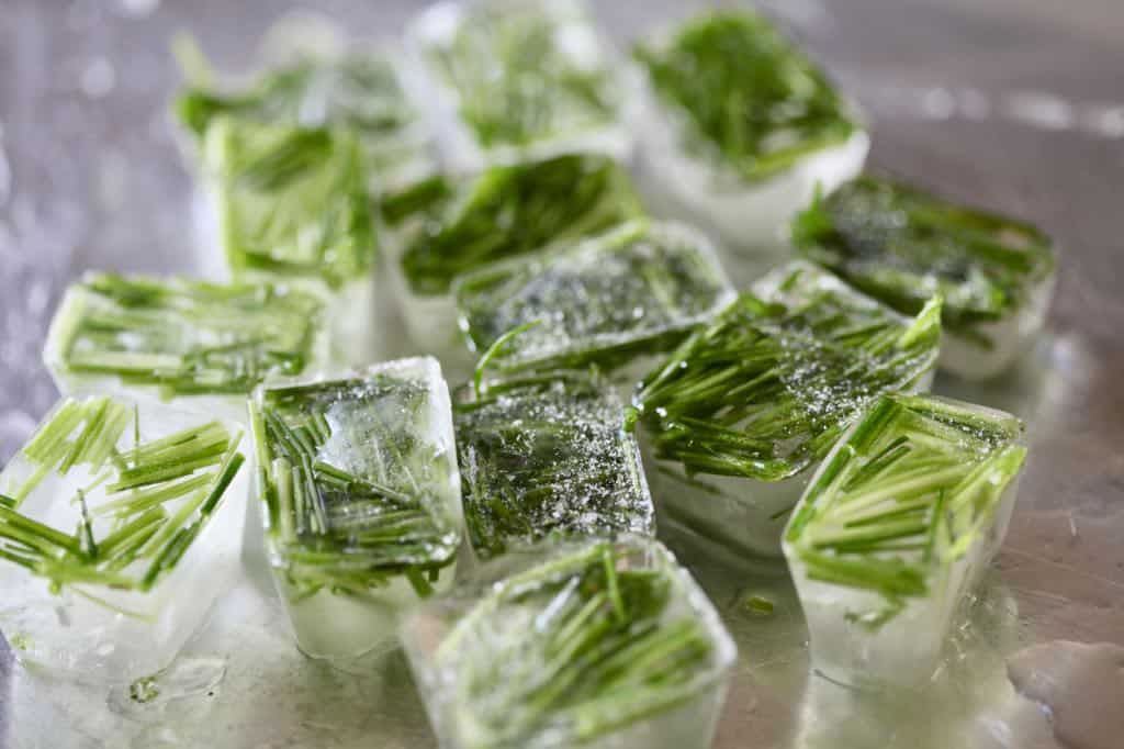 green chives frozen in ice cubes