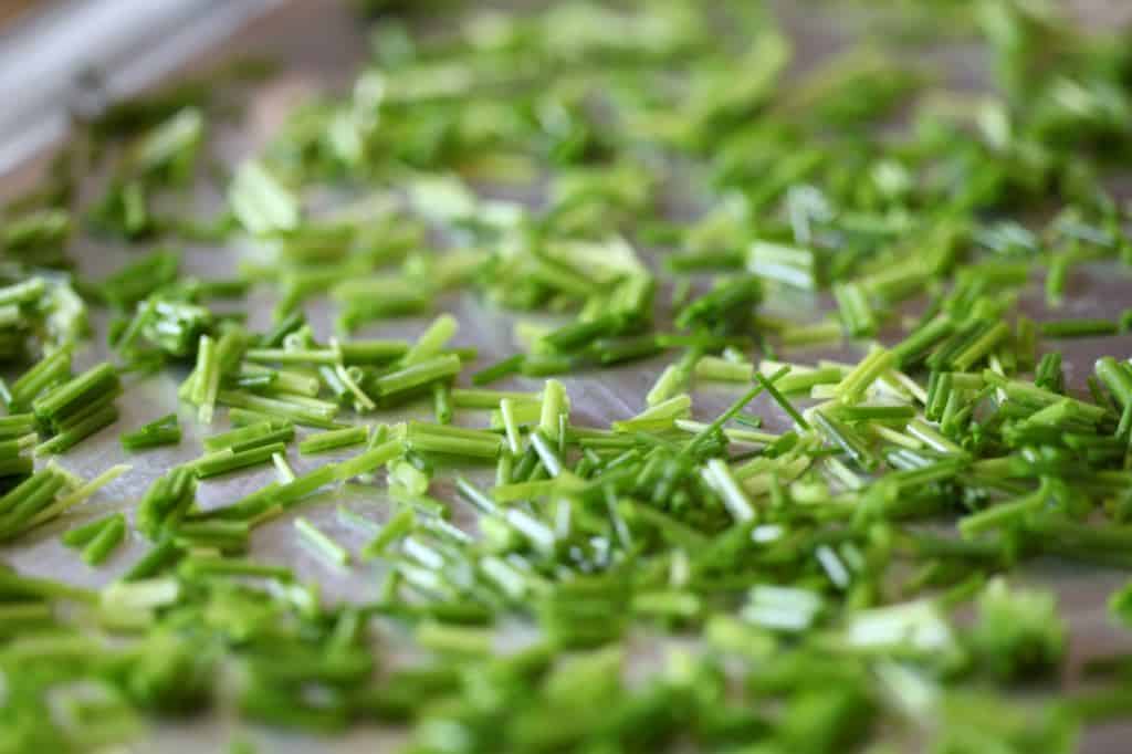 chopped chive pieces on a baking sheet prepared for drying in the oven