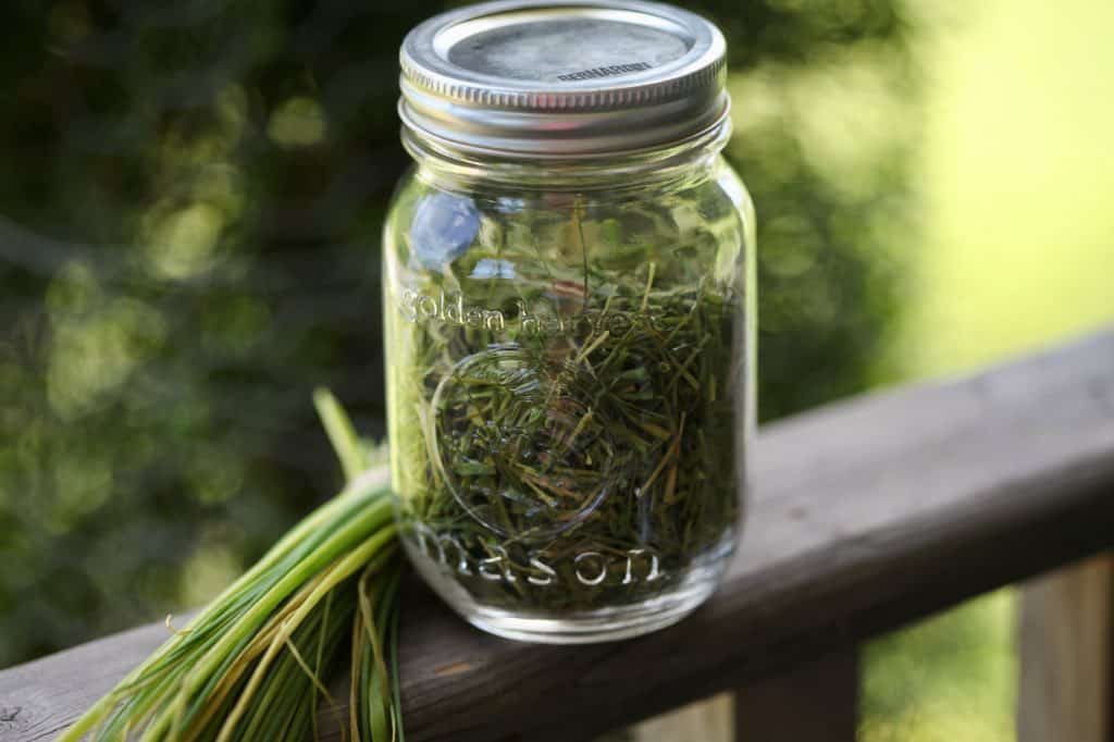 dried chives stored in an airtight mason jar