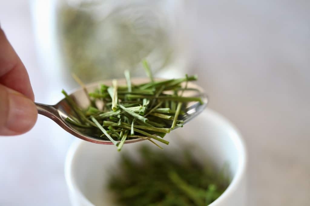 dried chives on a spoon