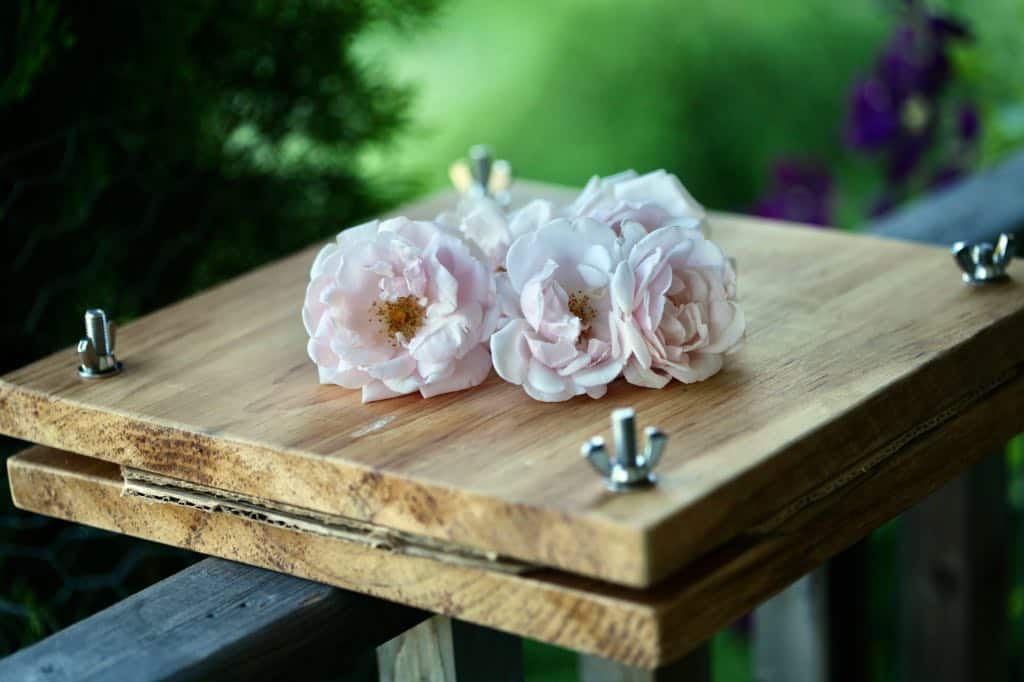 a wooden flower press on a wooden railing, topped with pink roses
