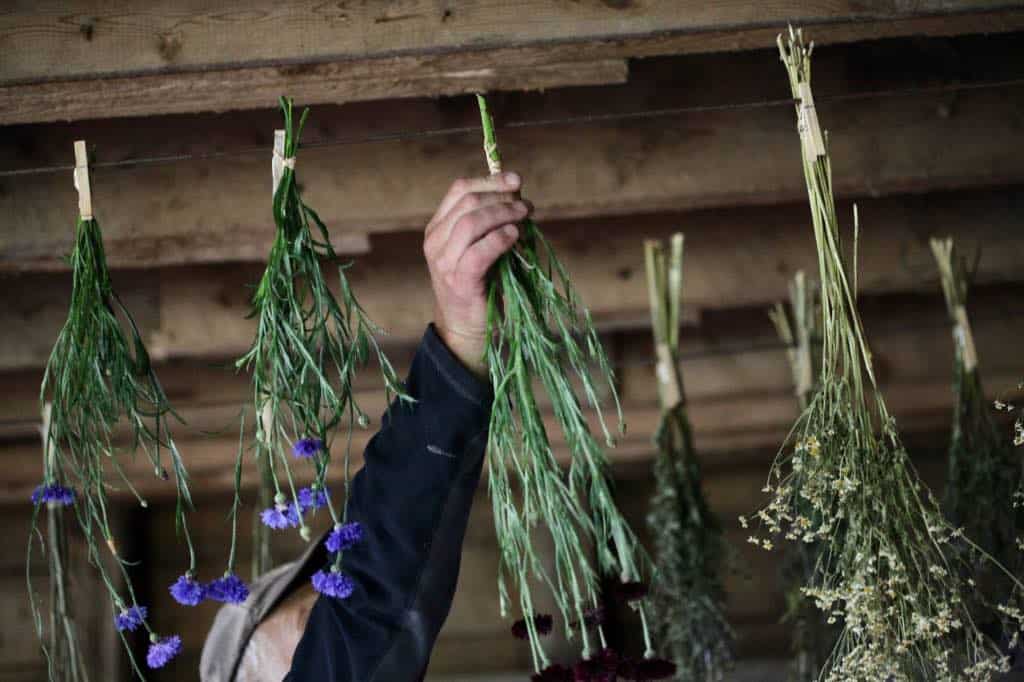 hanging flowers on a drying line