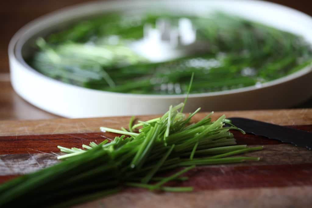 preparing chives for drying in the dehydrator