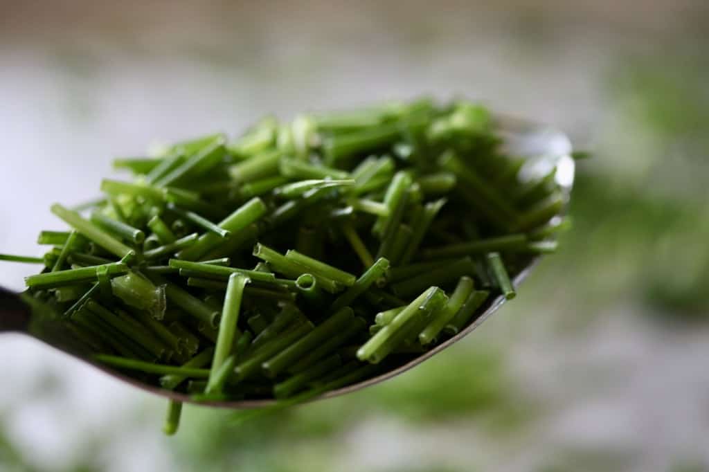 a spoonful of frozen chives