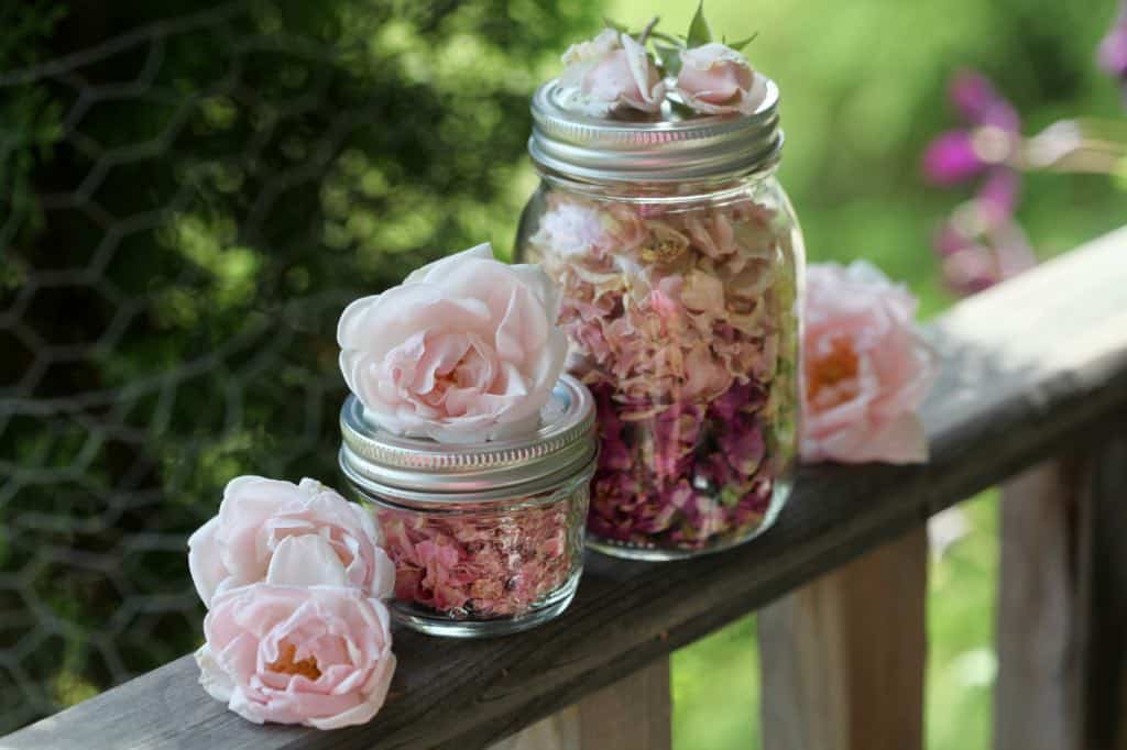 mason jars filled with dried rose petals, topped with fresh pink roses, on a wooden railing