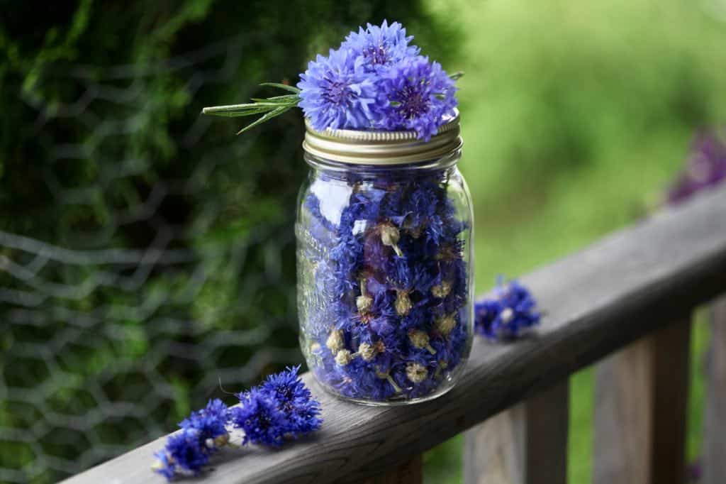 dried blue flowers in a mason jar on a wooden railing