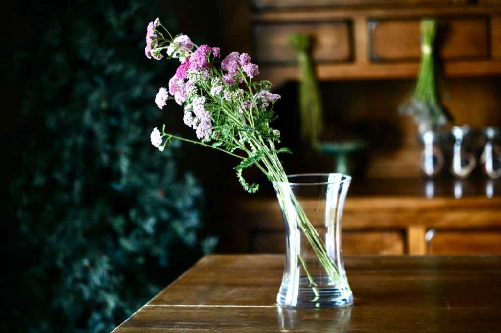 flowers drying in a vase