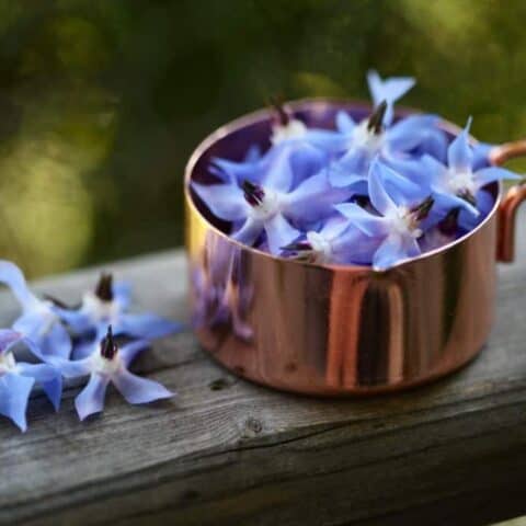 borage flowers in a copper cup