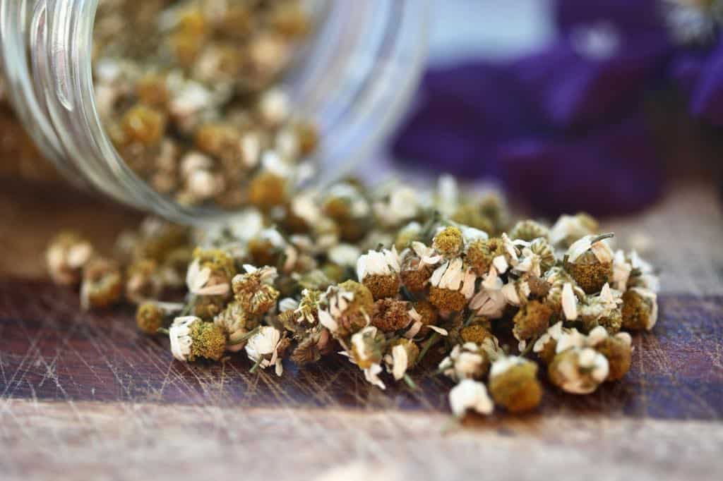 dried chamomile flowers for tea
