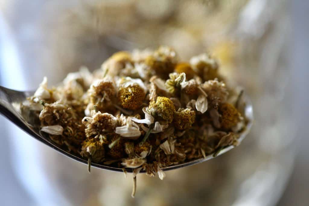 a spoonful of dried chamomile flowers for tea