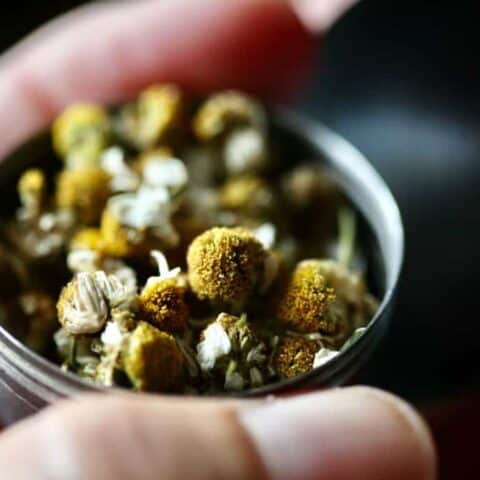 a hand holding dried chamomile flowers in a tea ball