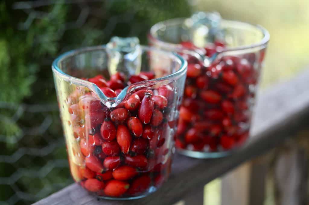 4 cups of fresh rose hips on a wooden railing
