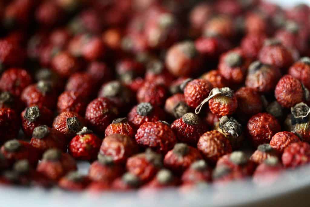 dried rose hips can also be used in this rose hip syrup recipe