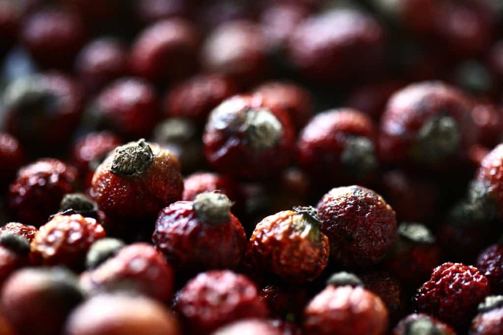 dried rose hips