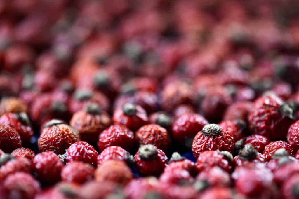 dried rose hips