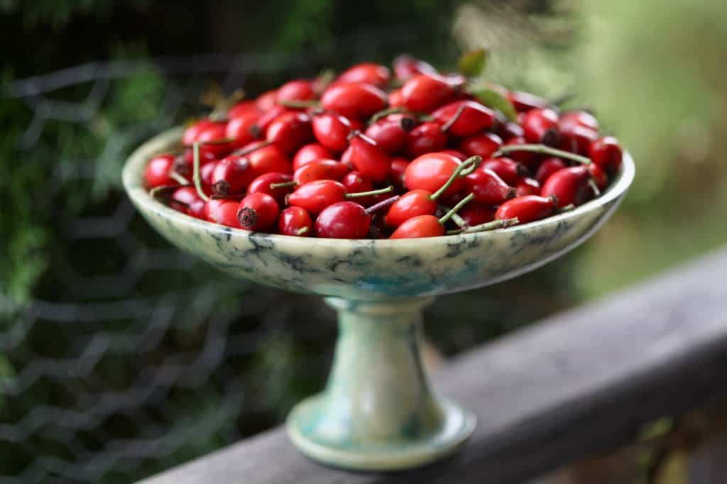 a green pedestal bowl full of red rose hips