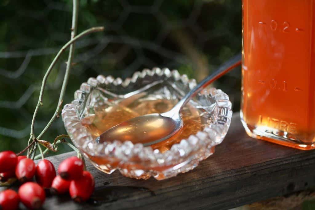 rose hip syrup in a crystal bowl with a spoon, beside a bottle of orange rose hip syrup, and next to red rose hips on a wooden railing