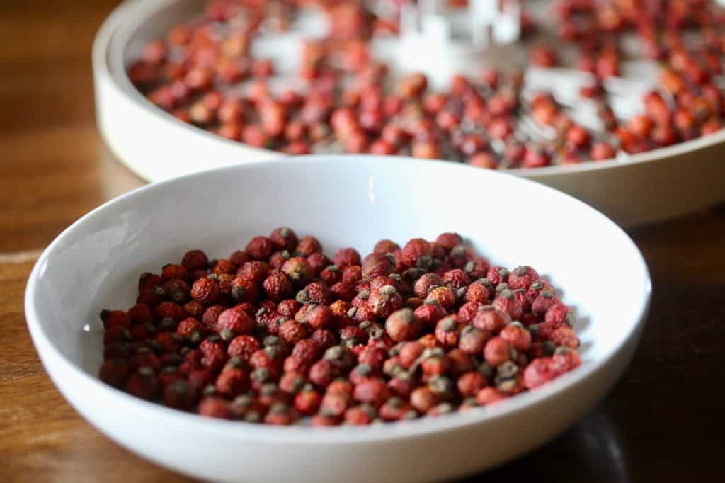 oven dried rose hips in the foreground, dehydrated rose hips in the background