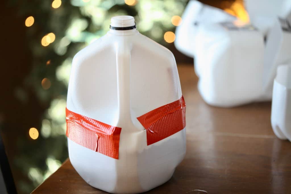 planting in catnip seeds in milk jugs for winter sowing, showing how to grow catnip from seed