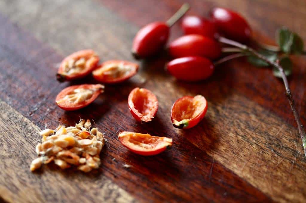 processing rose hips