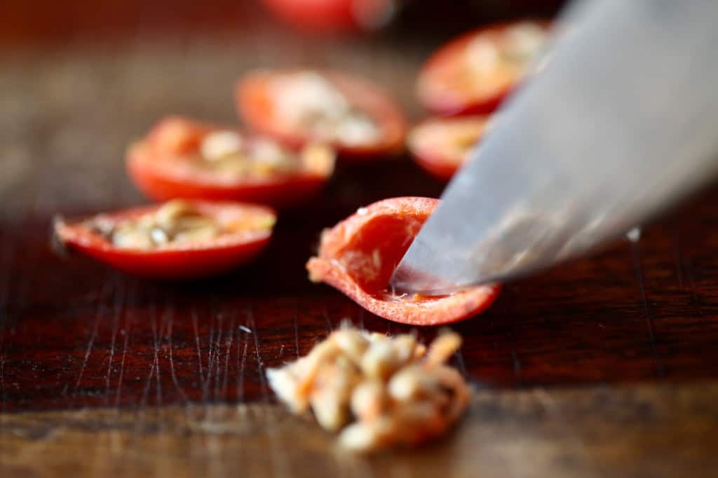 removing the hairs and seeds from  rose hips with a sharp utensil