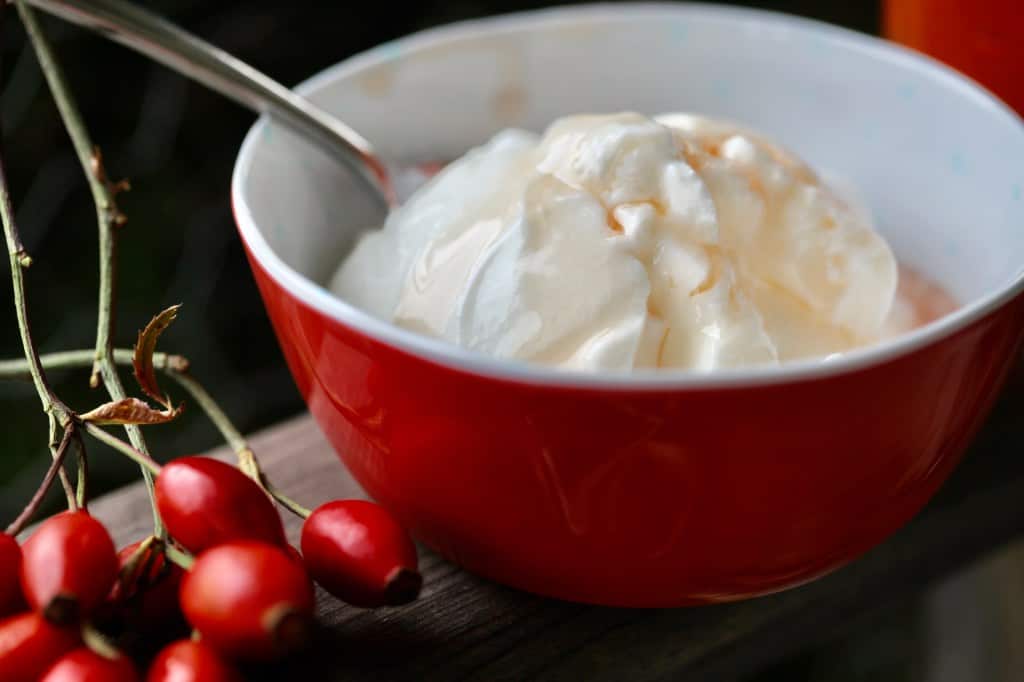 rose hip syrup over yogurt in a red bowl, next to a bunch of fresh rose hips