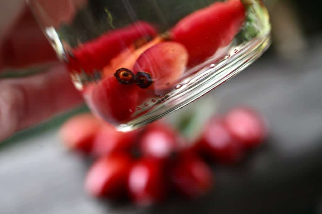 rose hip tea with fresh rose hips