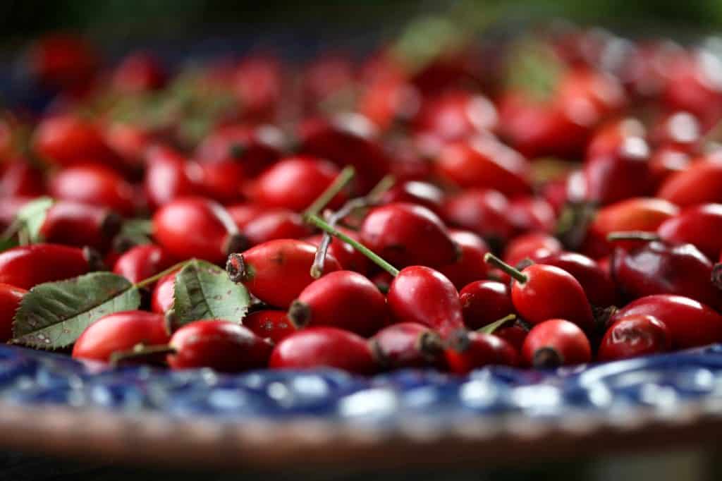 red rose hips on a platter