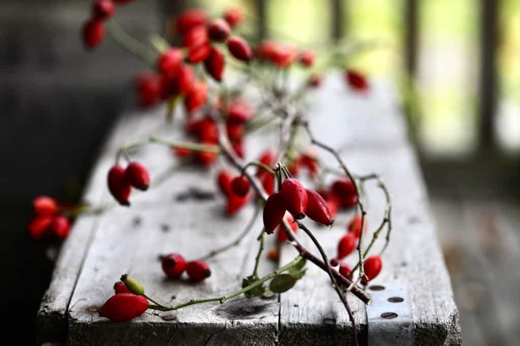 red rose hips on a wooden box