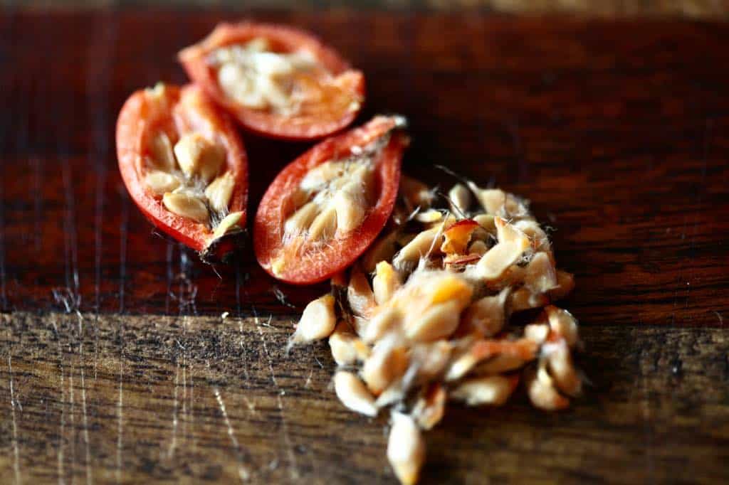 rose hips cut in half next to a pile of rose hip seeds