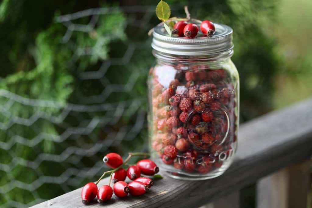 dried rose hips in a mason jar on a wooden railing