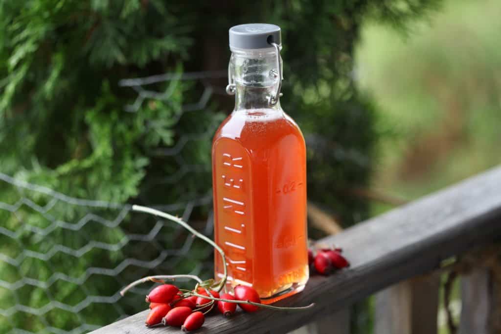 rose hip syrup in an airtight glass bottle on a wooden railing next to red rose hips