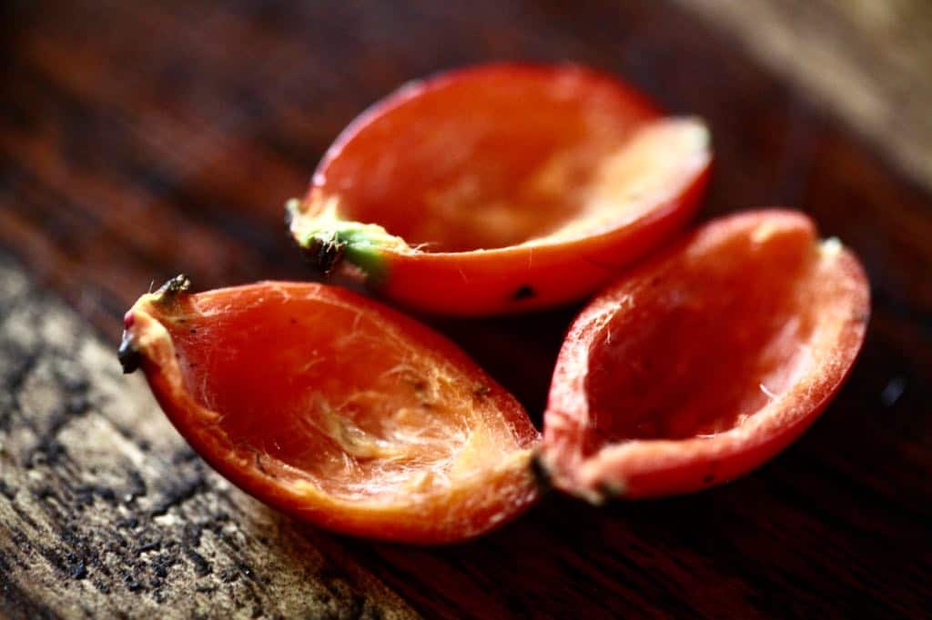 three carved out rose hips